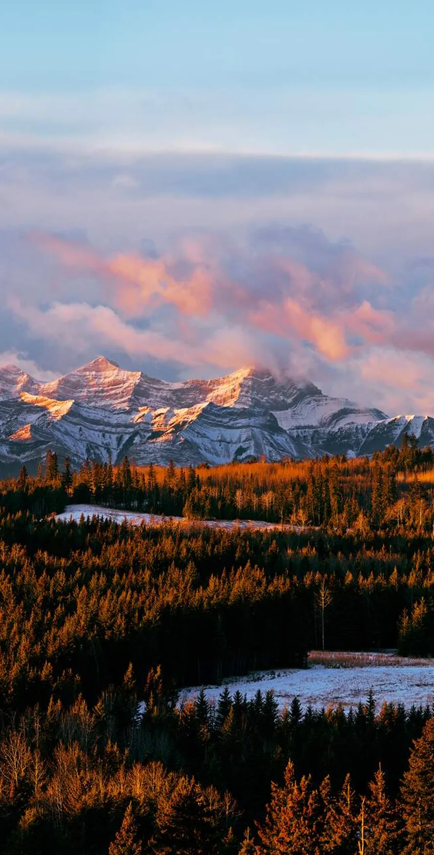 An autumn forest in the mountains